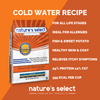 Cold Water Recipe - White Fish & Sweet Potato