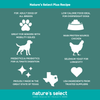 Plus Recipe - Chicken w/Glucosamine, for Adult Dogs